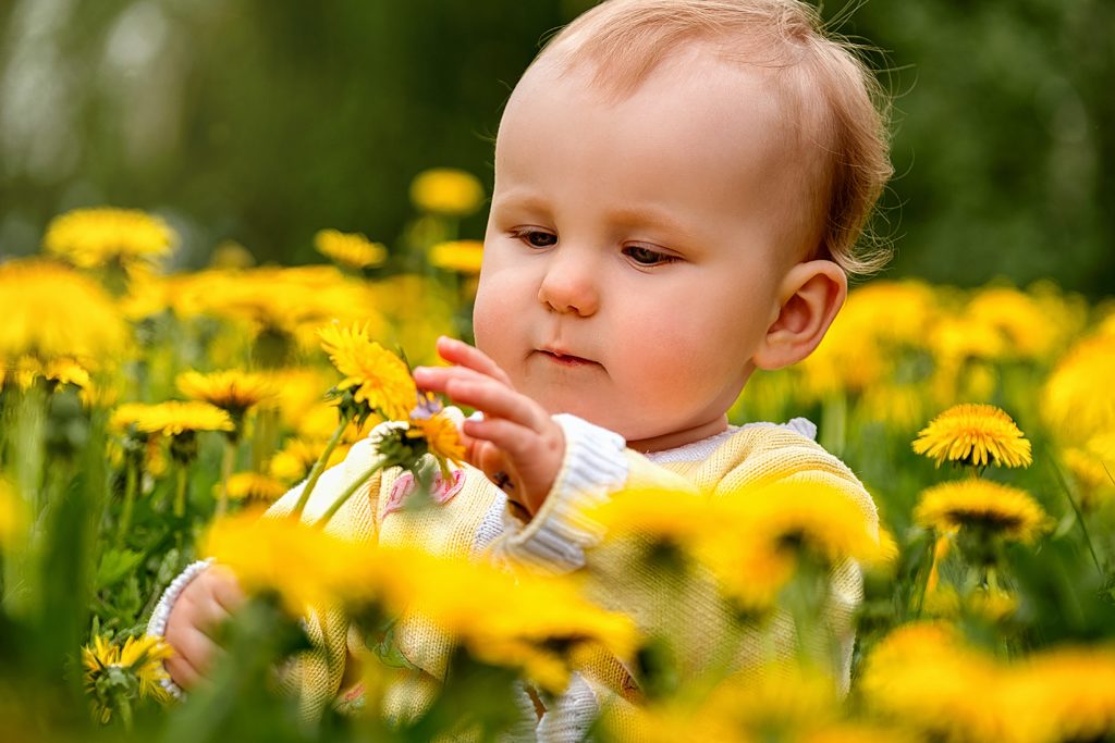 a toddler in the flowers with spring activities for toddlers and babies.